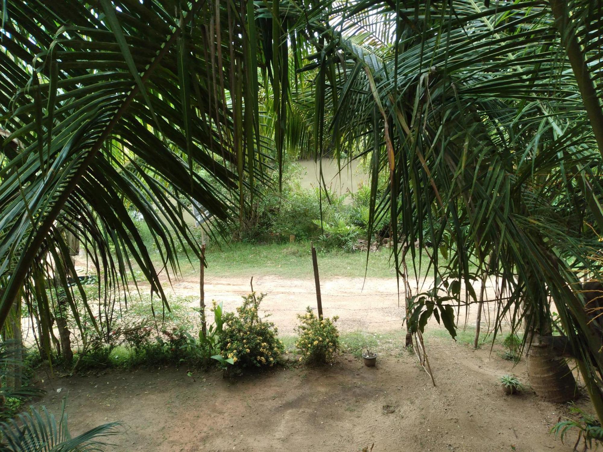 Star Sun Homestay Tangalle Bagian luar foto